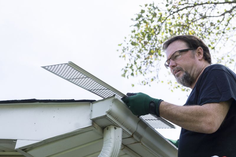 Gutter Protection detail