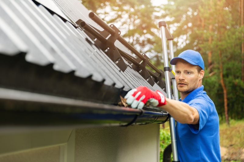 Clean and Protected Gutters